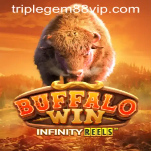 BuffaloWin: A Thrilling Adventure Awaits with TRIPLEGEM88