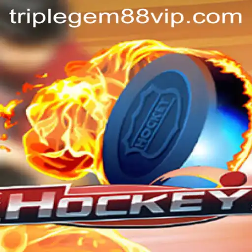 Understanding the Game of Hockey and the Influence of TRIPLEGEM88